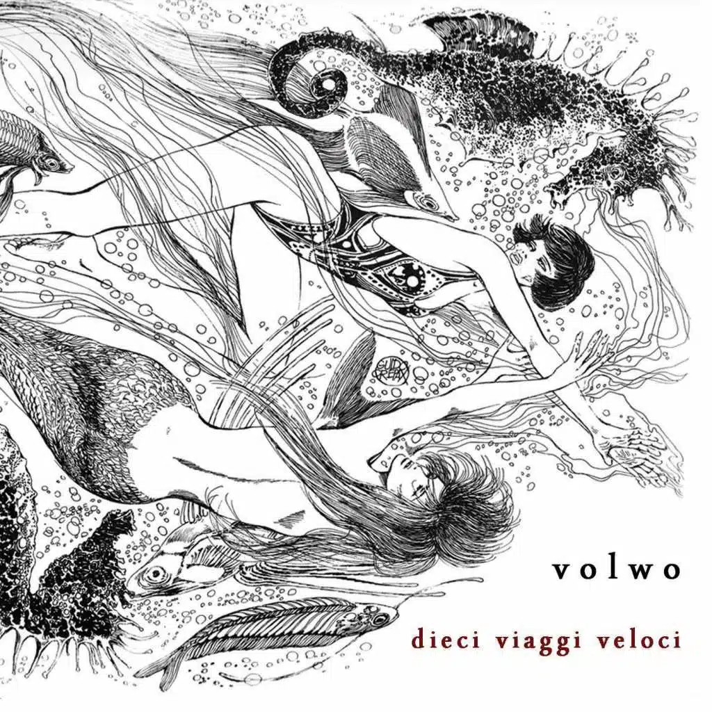 Dieci viaggi veloci