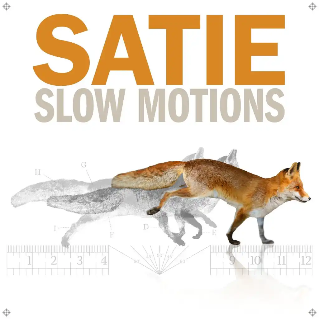 Satie Slow Motions