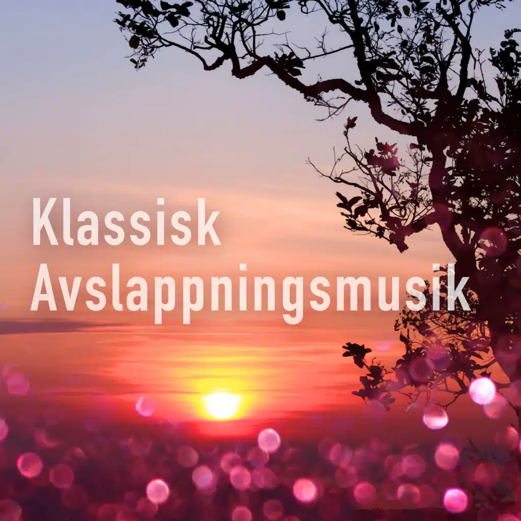 Daniel Barenboim, Jacqueline du Pré & Yuri Egorov