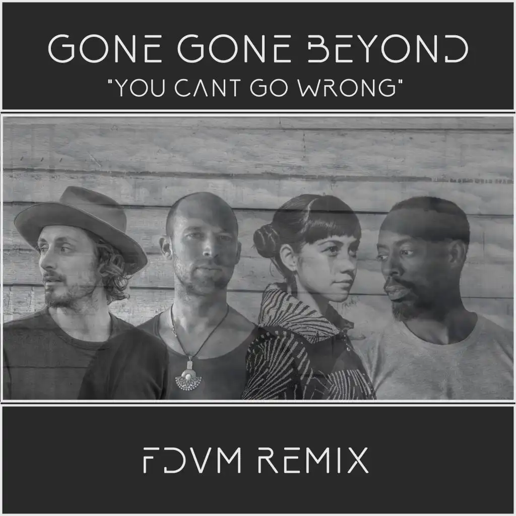 You Can't Go Wrong (Fdvm Remix)