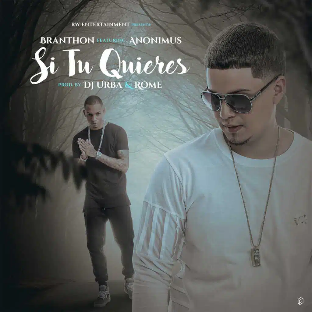 Si Tu Quieres (feat. Anonimus)