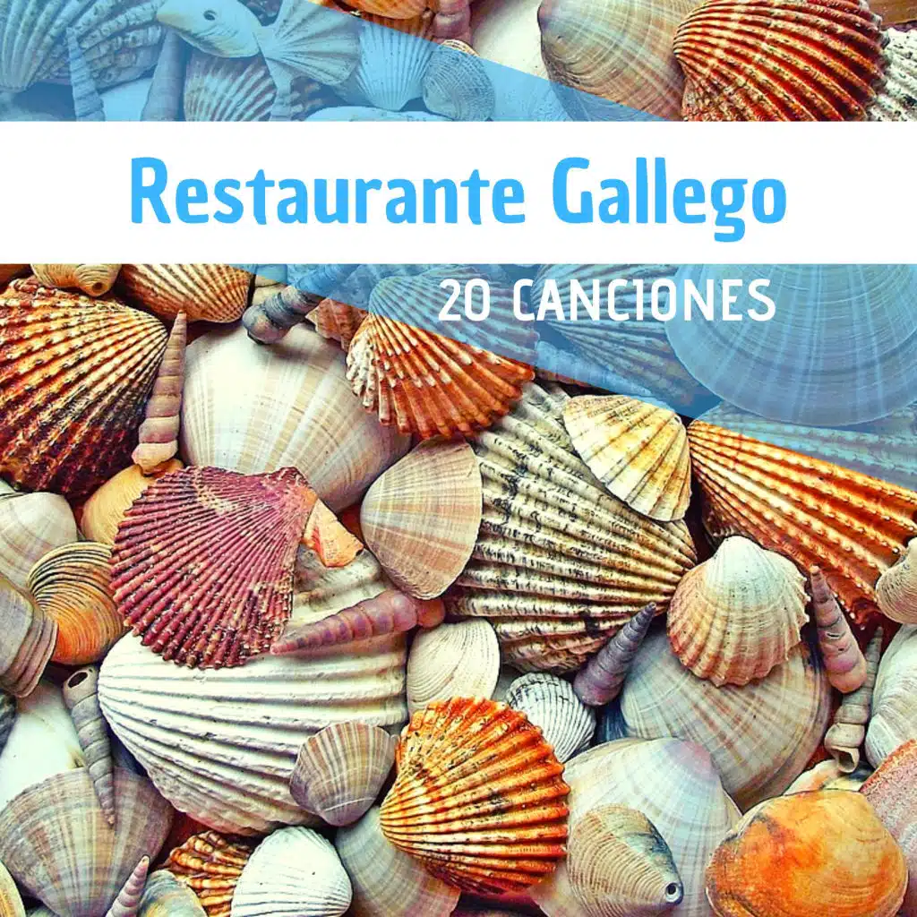 Restaurante Gallego: 20 Canciones - Música de Ambiente Celta Mesón, Pulpería