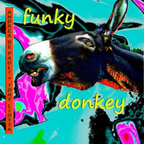 Funky Donkey