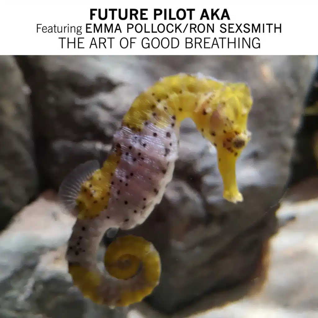 The Art Of Good Breathing (feat. Emma Pollock & Ron Sexsmith)