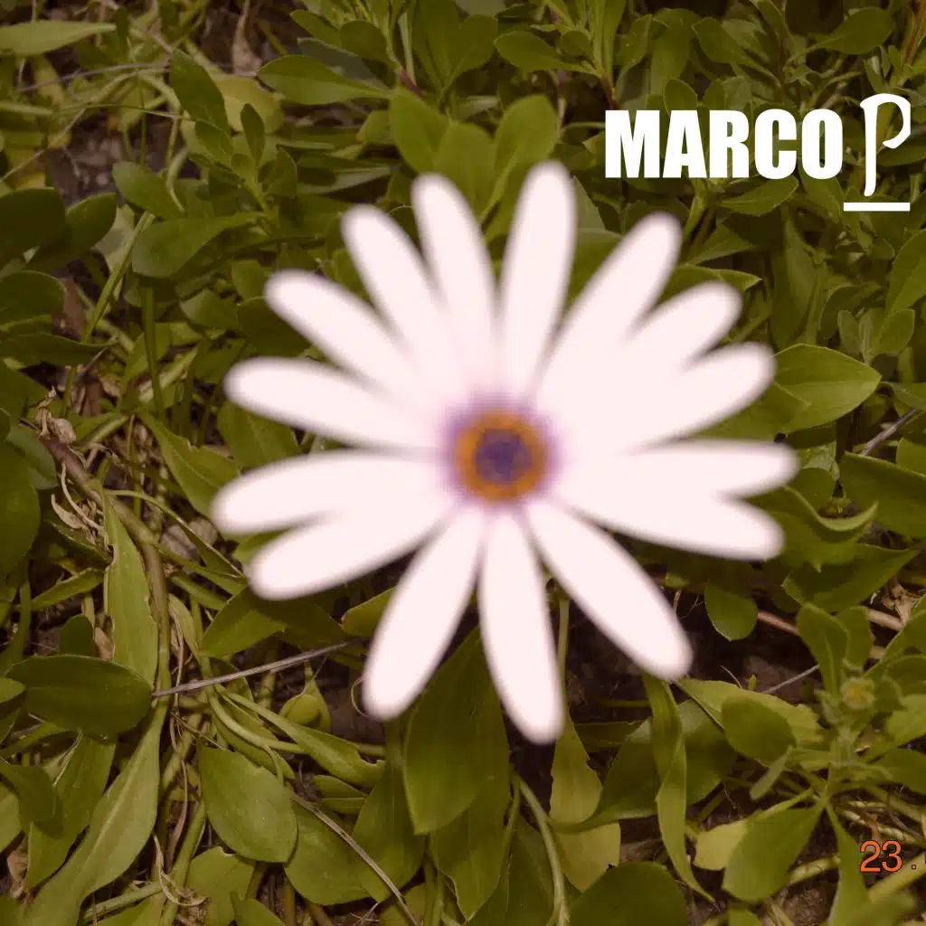 Marco P