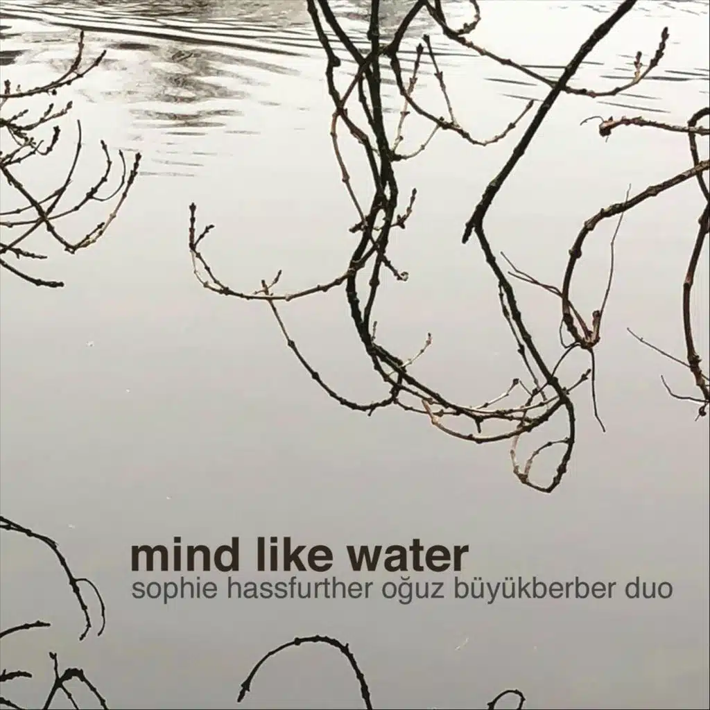 Mind Like Water