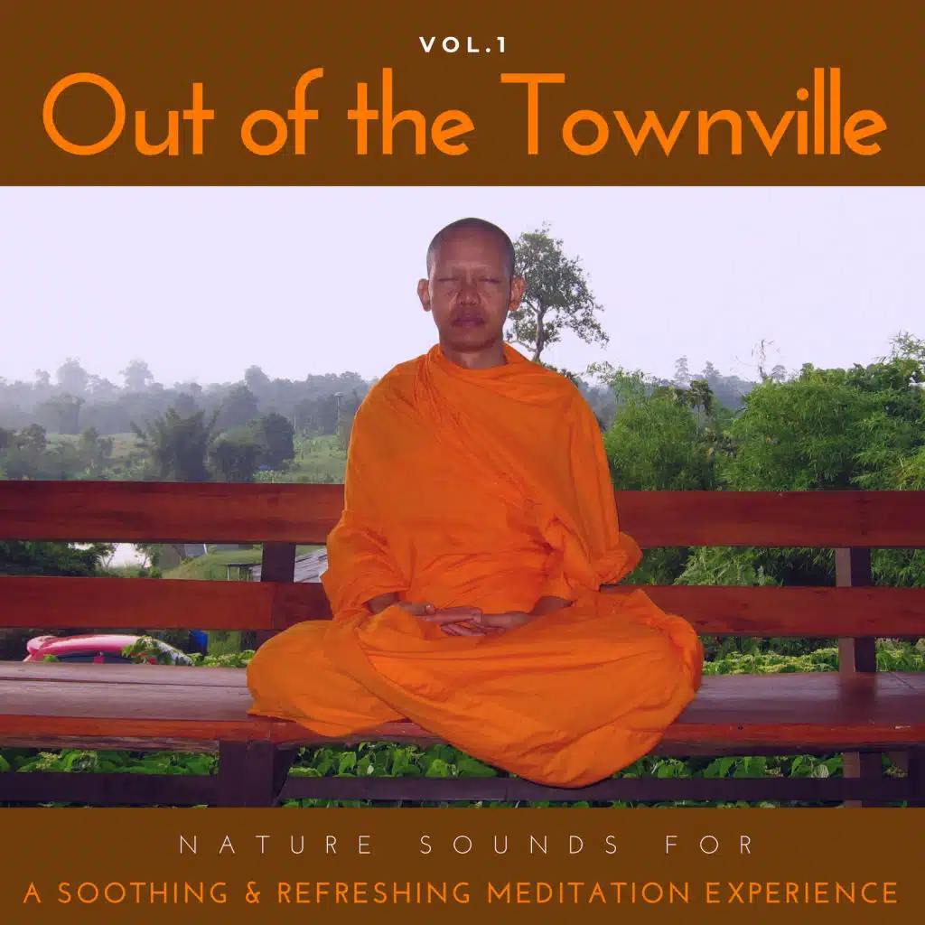 Out Of The Townville - Nature Sounds For A Soothing & Refreshing Meditation Experience, Vol.1