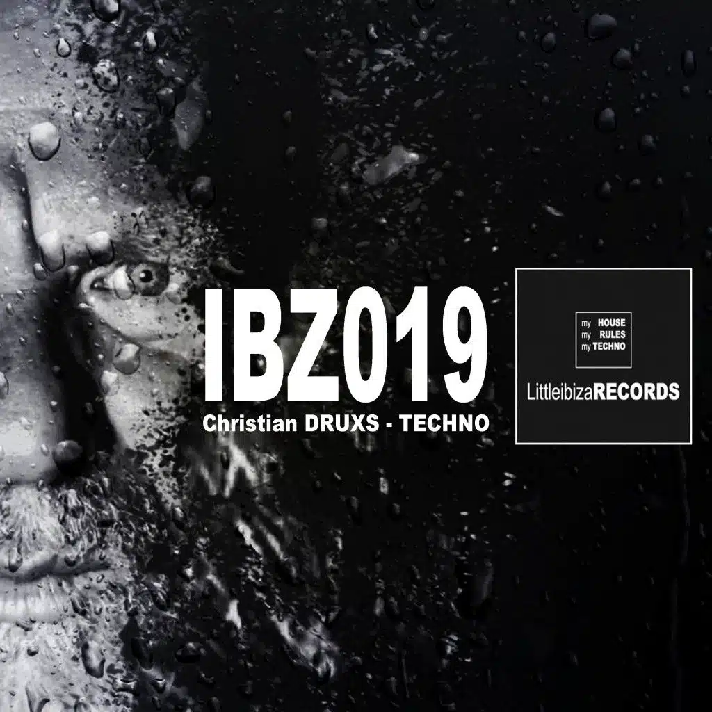 Ibz019 (Contemporary Acid Techno)
