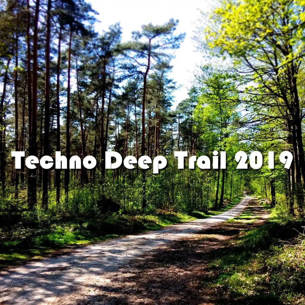 Techno Deep Trail 2019 (About 70 Tracks For Every Trail)