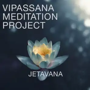 Vipassana Meditation Project