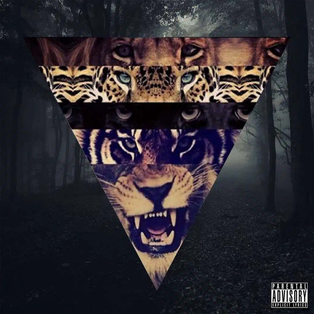 Come Up (feat. Rob Valley)