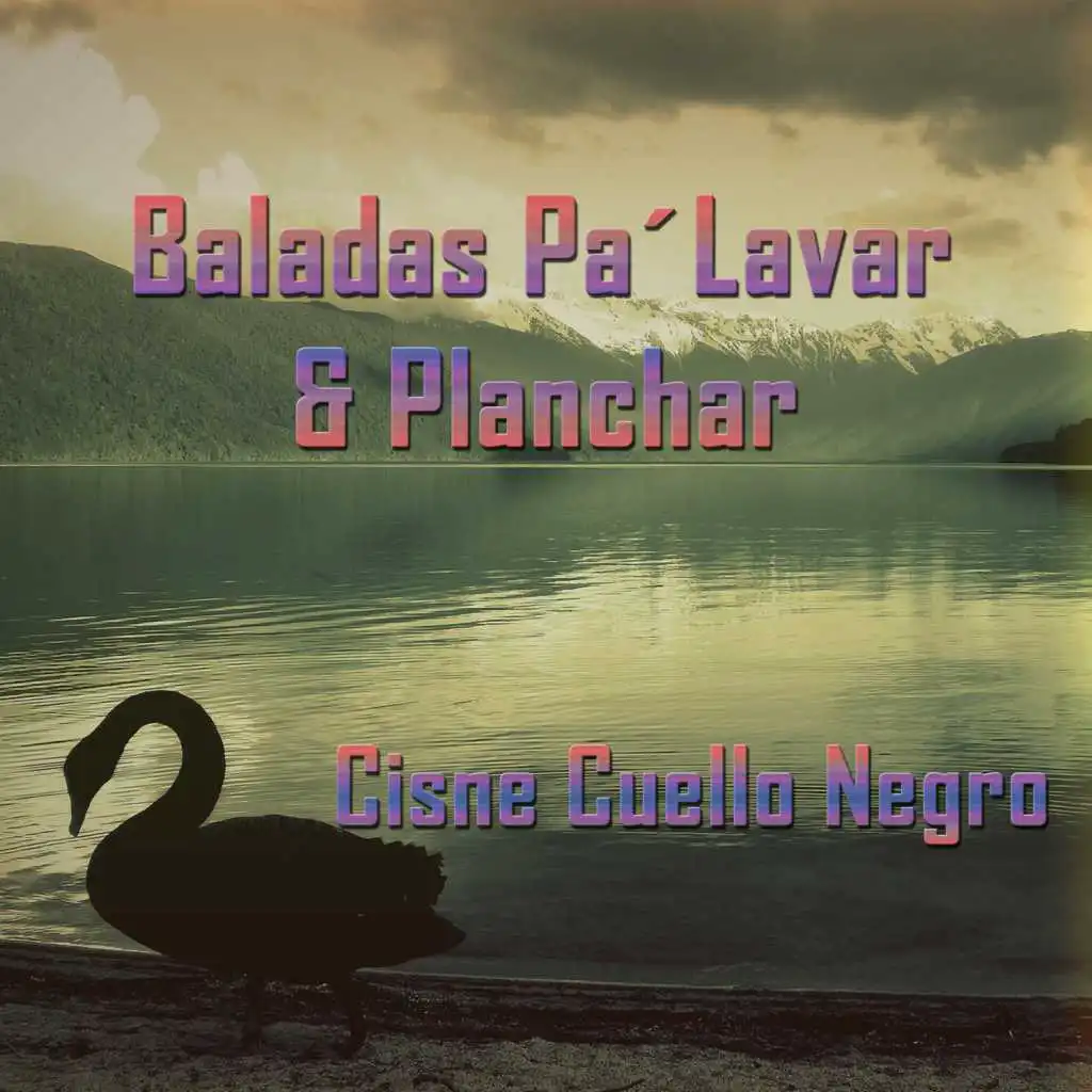 Baladas Pa' Lavar & Planchar: Cisne Cuello Negro