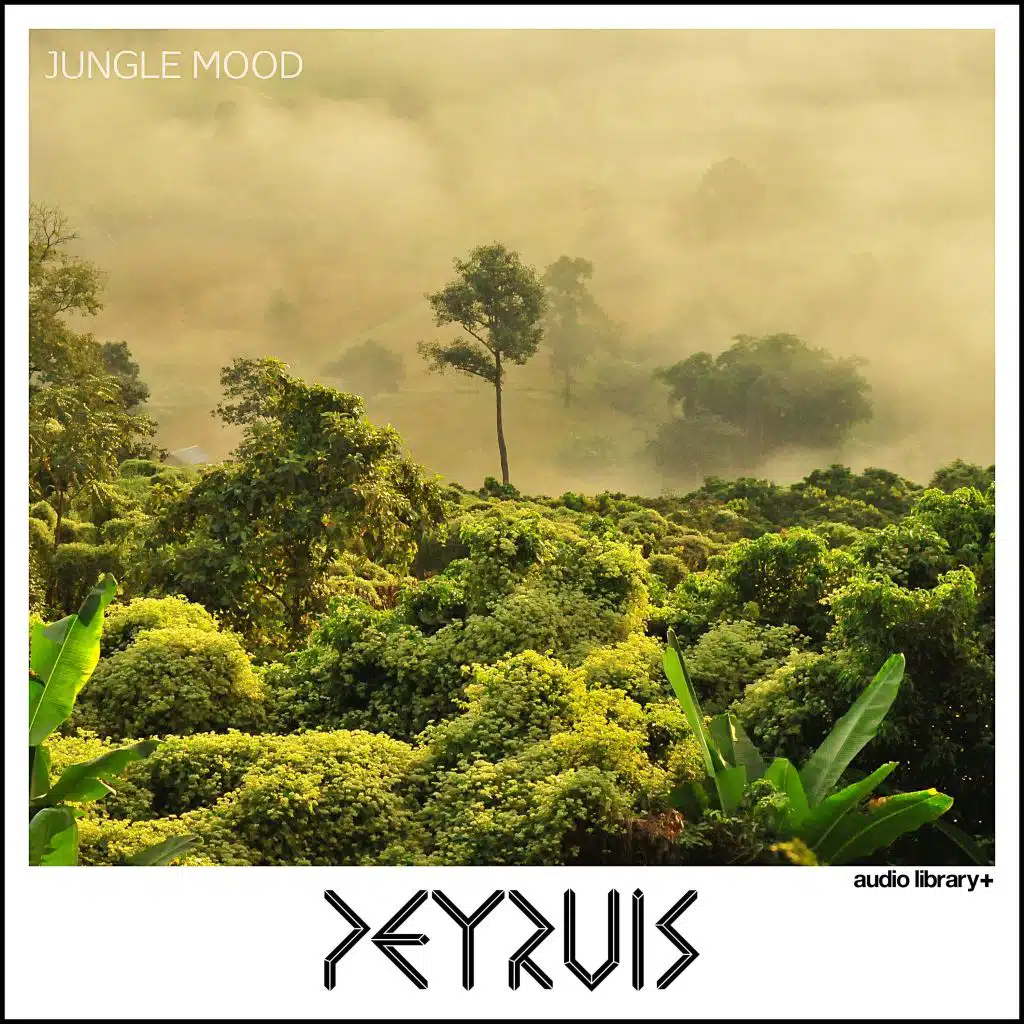 Jungle Mood