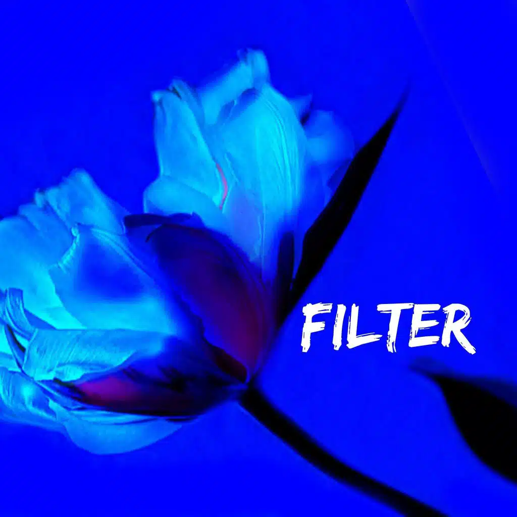 Filter