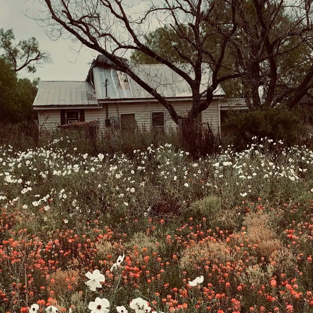 Nature Retakes the Home