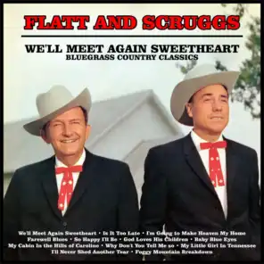 We'll Meet Again Sweetheart : Bluegrass Country Classics