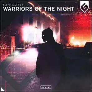 Warriors Of The Night