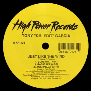 Just Like the Wind (Radio Mix)