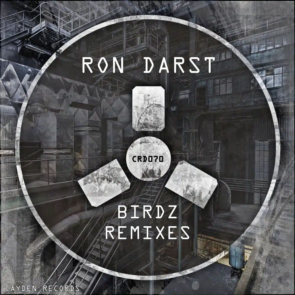 Birdz (Remixes)