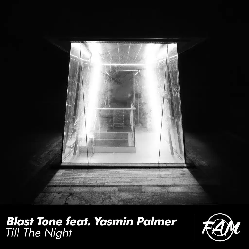 Till the Night (feat. Yasmin Palmer)