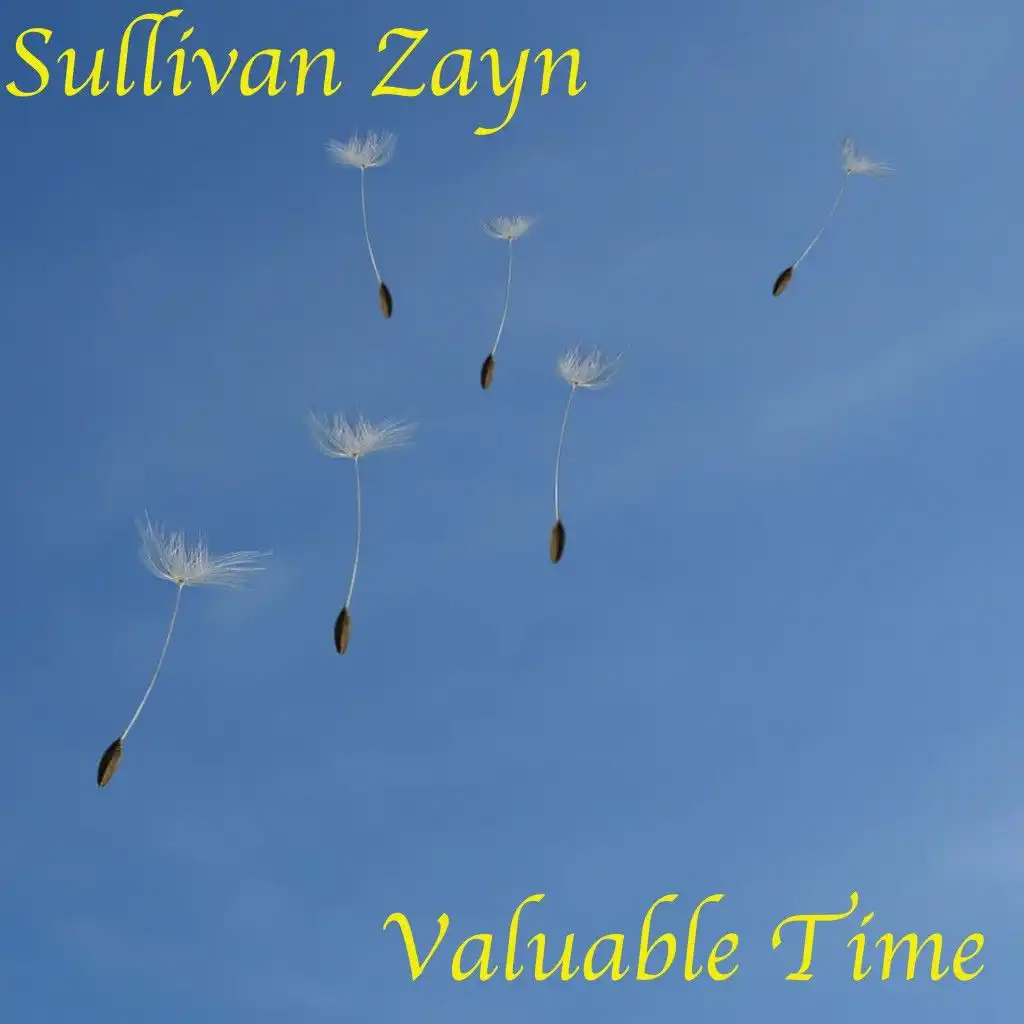 Sullivan Zayn