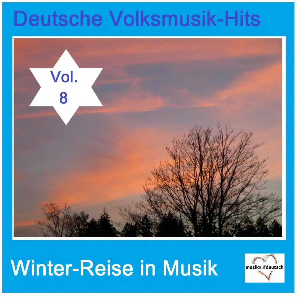 Deutsche Volksmusik-Hits: Winter-Reise in Musik, Vol. 8