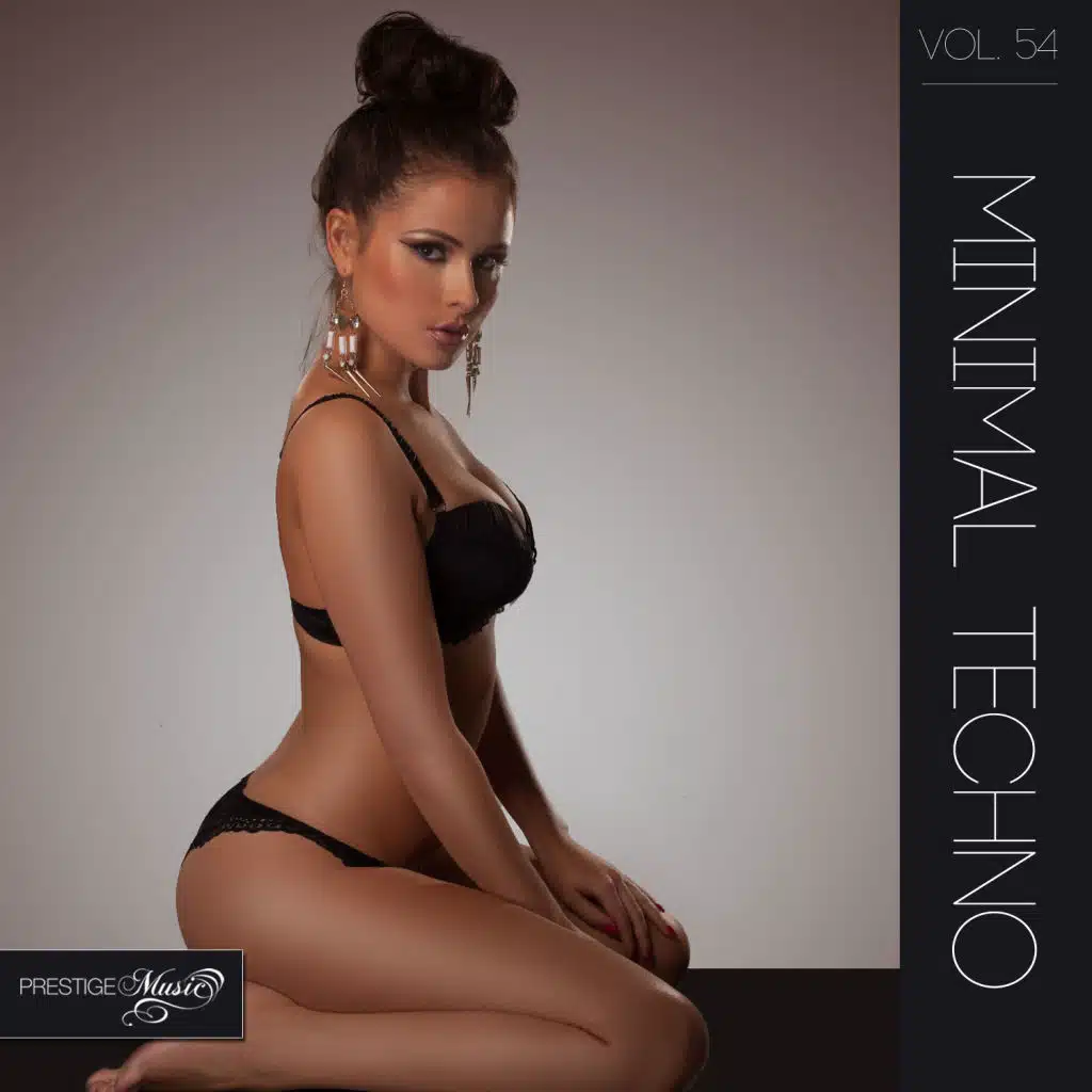 Minimal Techno, Vol.54
