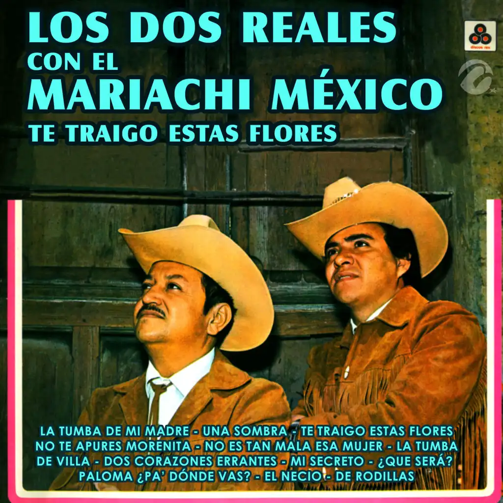 Una Sombra (feat. El Mariachi México)