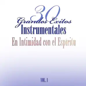 30 Grandes Exitos Instrumentales Vol.1