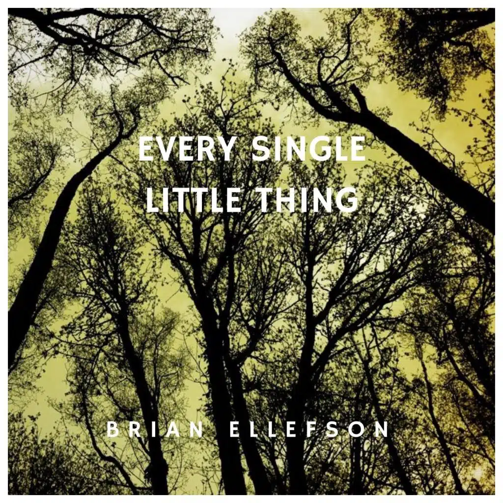 Every Single Little Thing