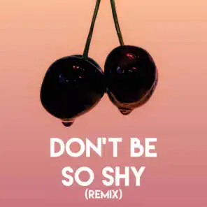 Don't Be So Shy (Remix)