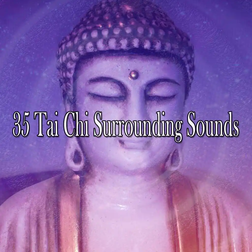 35 Tai Chi Surrounding Sounds