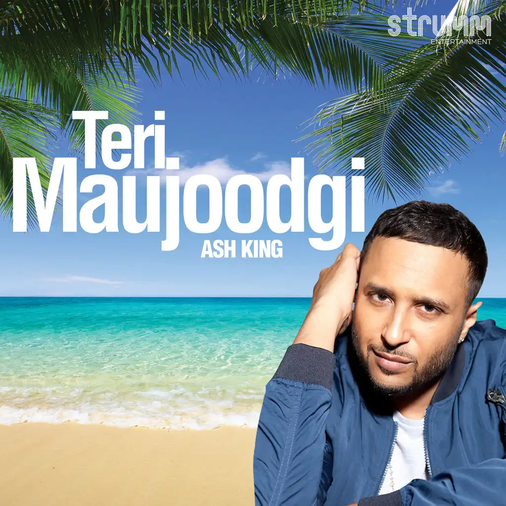 Teri Maujoodgi - Single