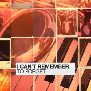 I Can't Remember to Forget (Rerecorded)