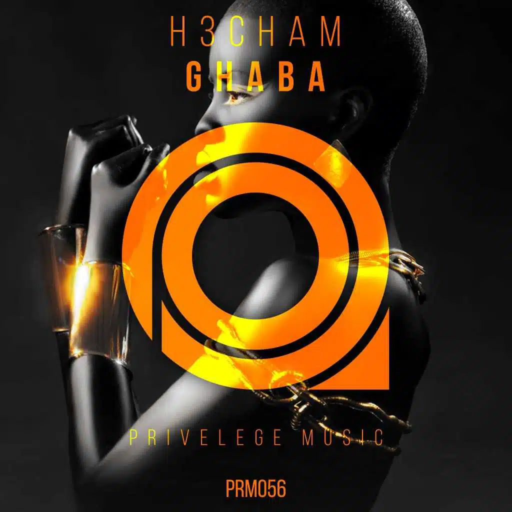 H3cham