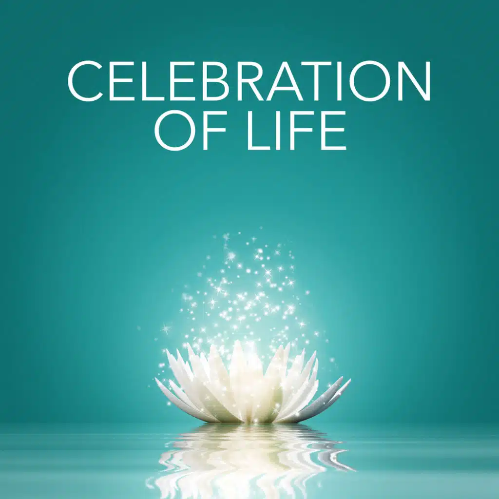 Modern Worship Project