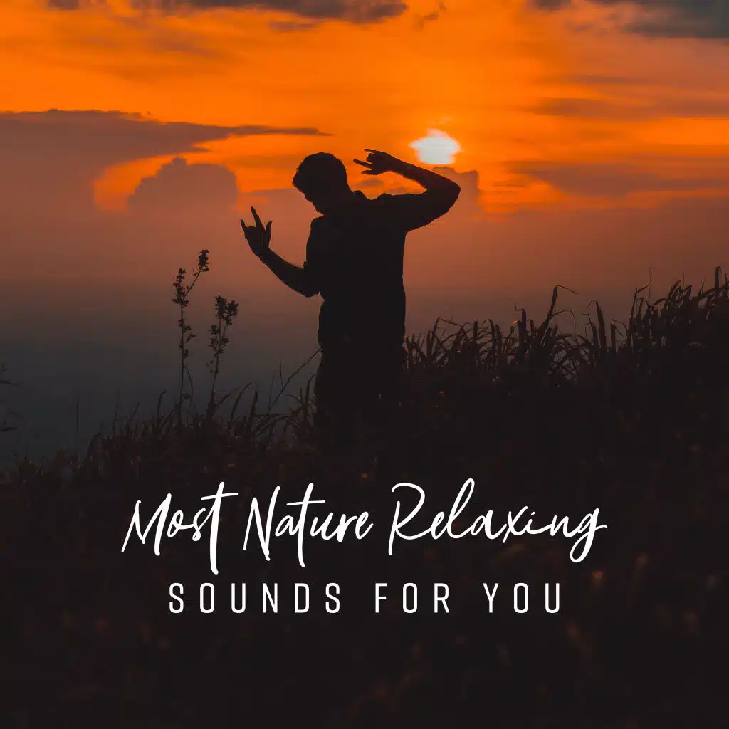 Most Nature Relaxing Sounds for You – Compilation of Nature 2019 New Age Music, Total Relaxation Sounds, Melodies to Calm Down, Stress Relief & Rest