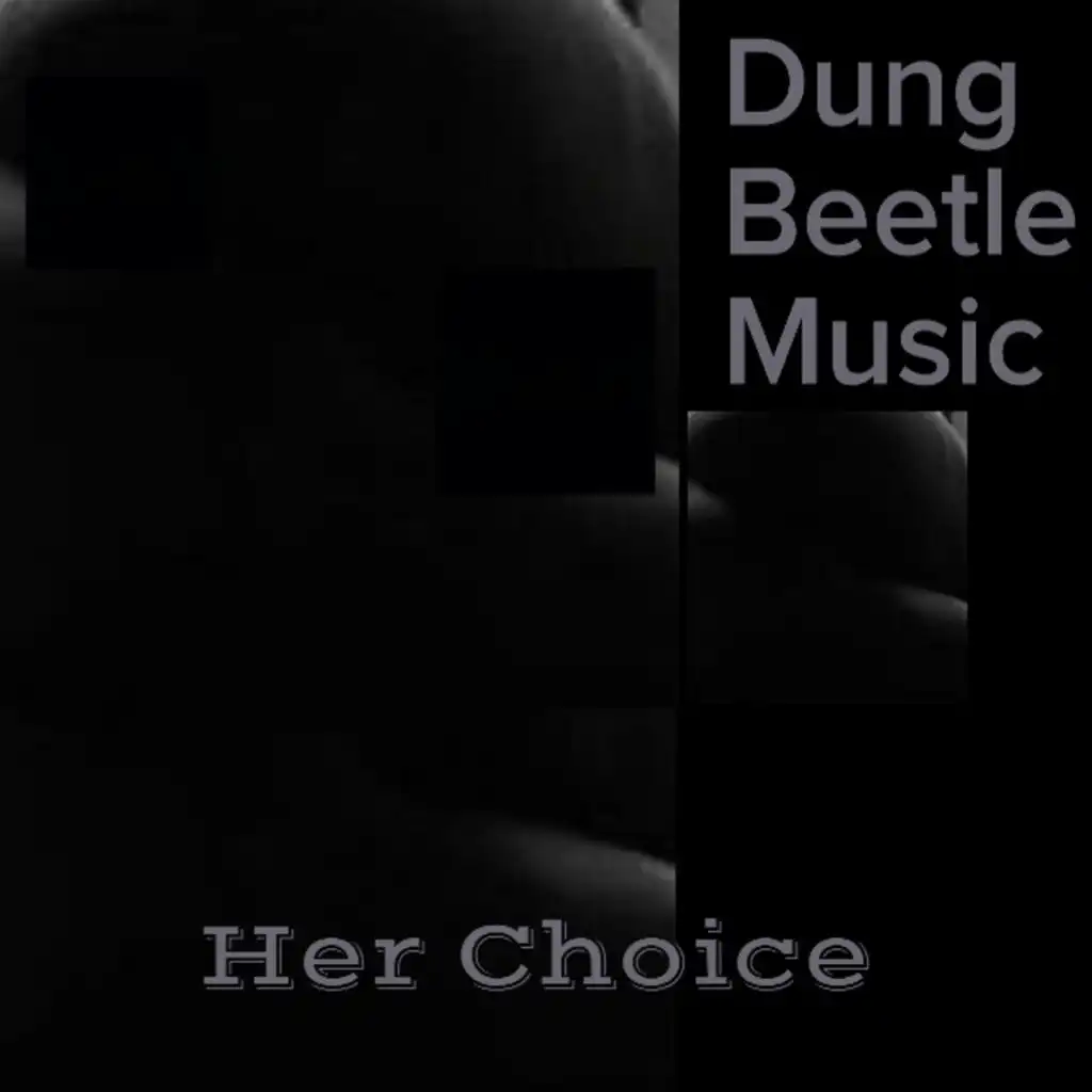 Her Choice (Itu Hip Hop Mix)