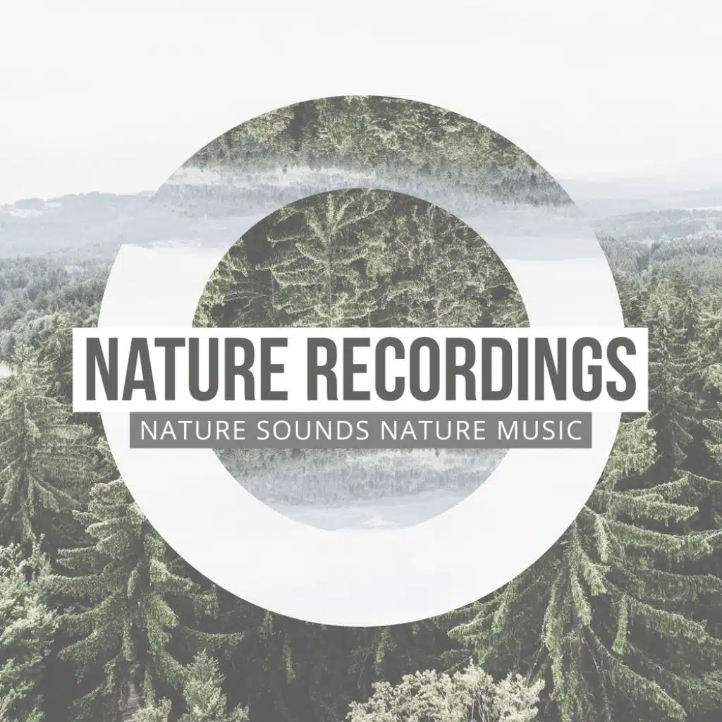 Rain On Country Trail