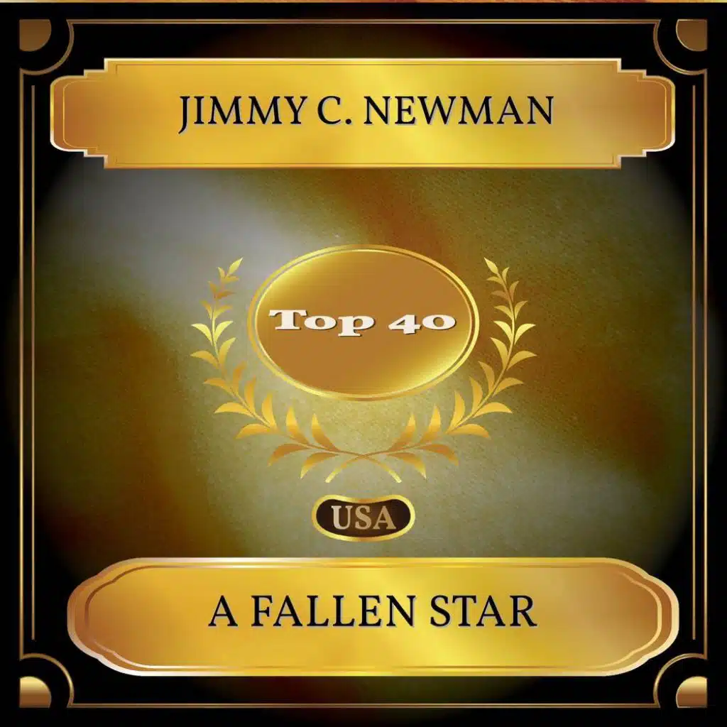 A Fallen Star