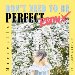 Don't Need to Be Perfect (Paul Qrex & Ludvic Remix)