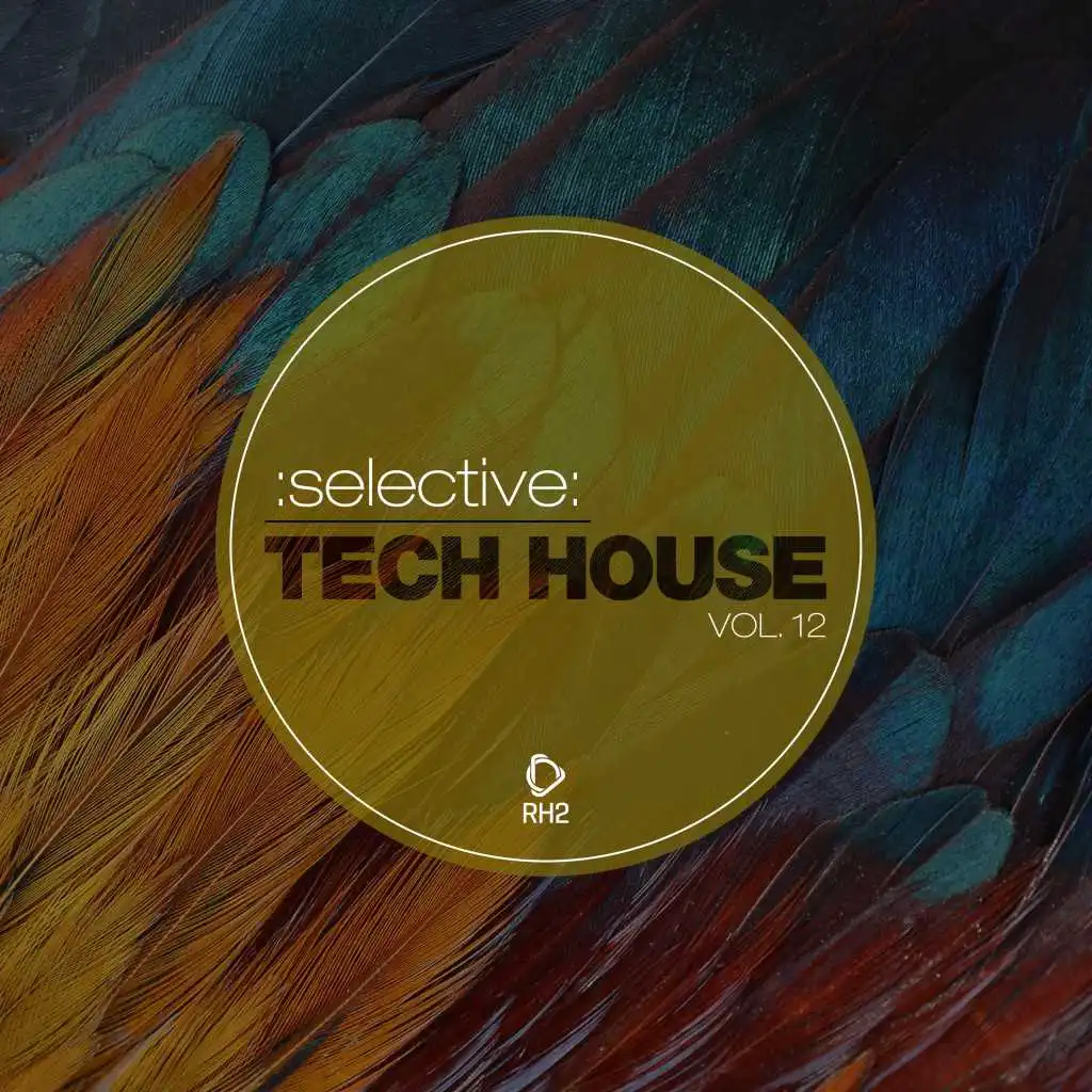 Selective: Tech House, Vol. 12