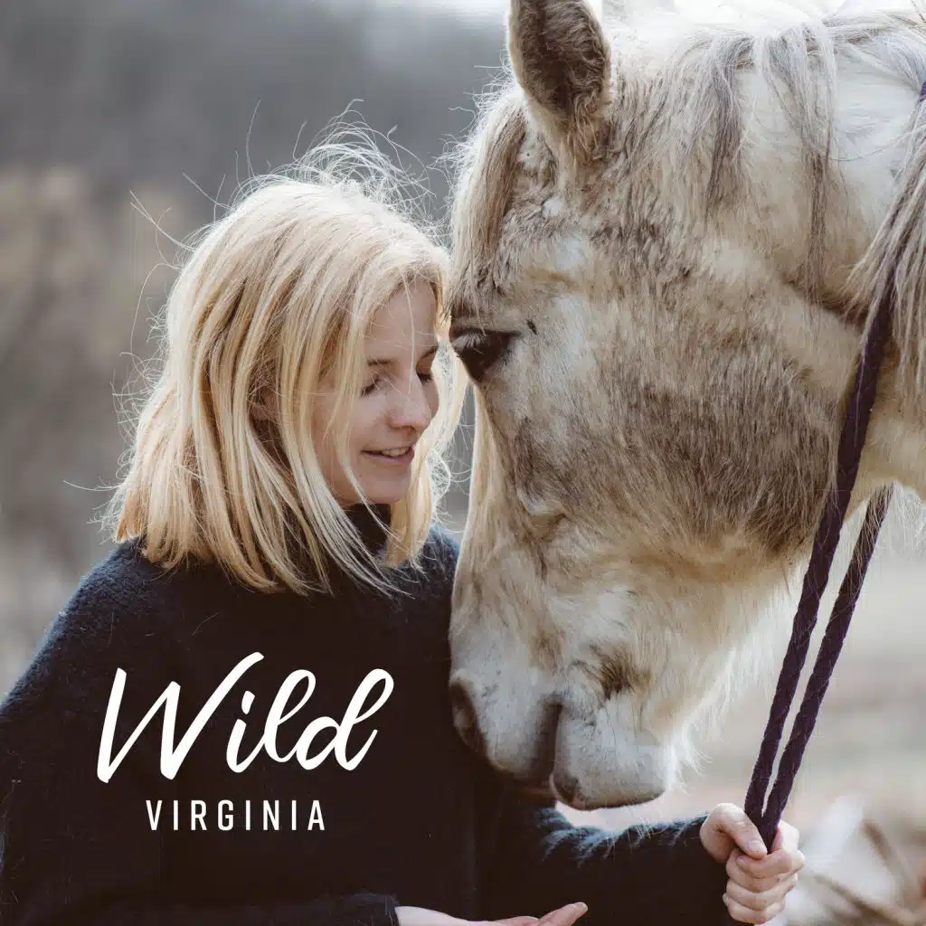 Wild Virginia: Best Country Music Collection, Romantic Ballads for Lovers