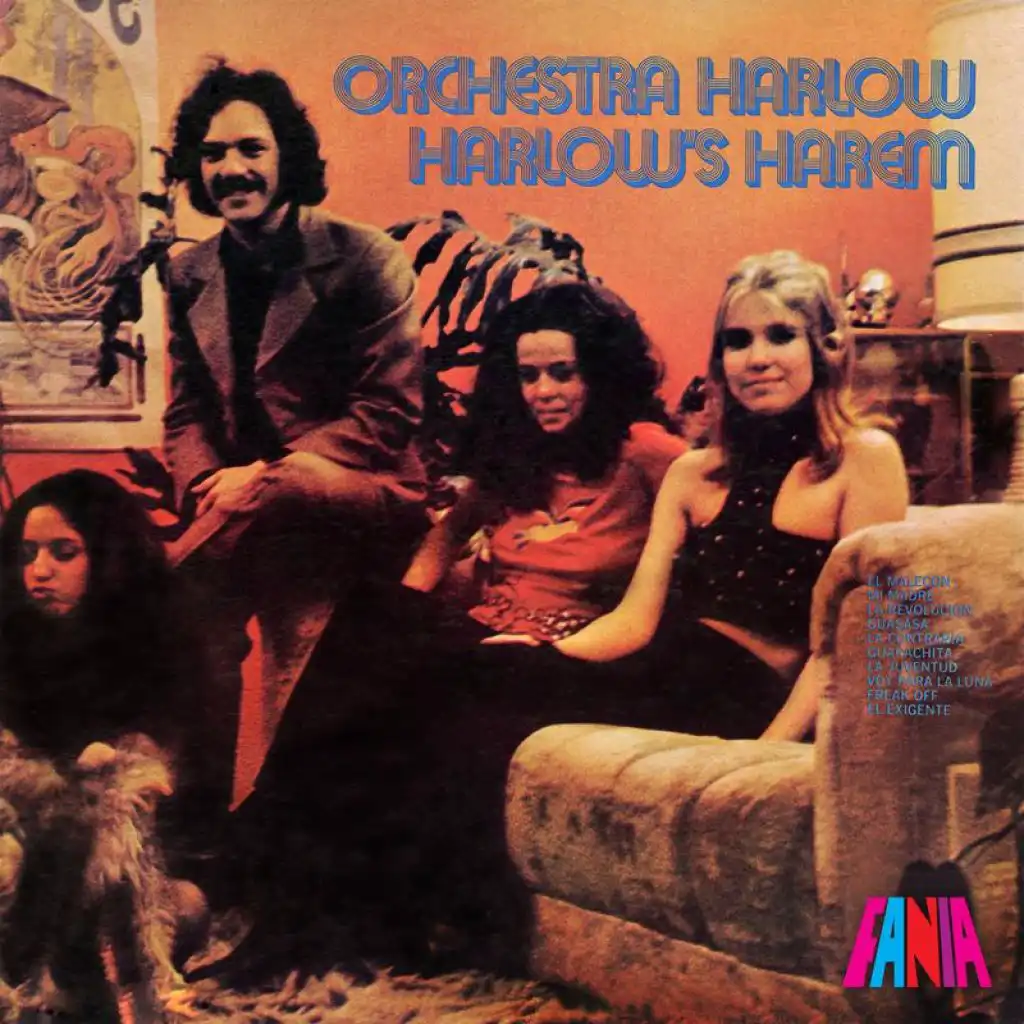 Harlow's Harem