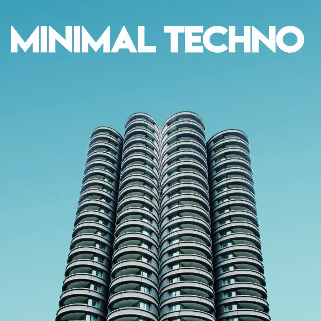 Sex Machine 2008 (Pitt Larsen Remix)