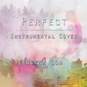 Perfect (Instrumental Cover)