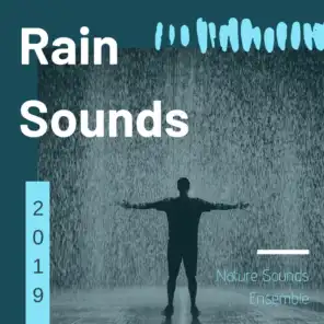 Rain Sounds & White Noise, Rain Sounds, Rain For Deep Sleep