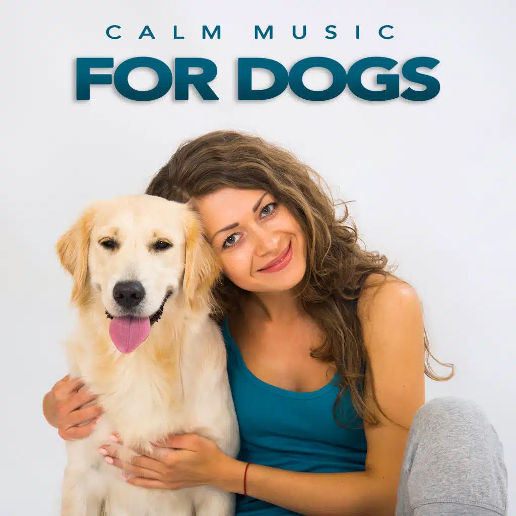 Instrumental Music For Pet Relaxation