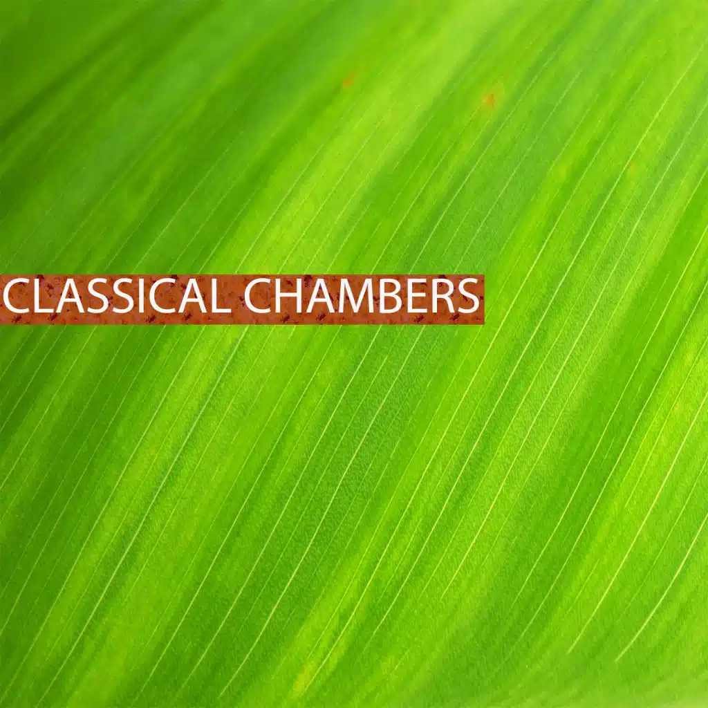 Classical Chambers