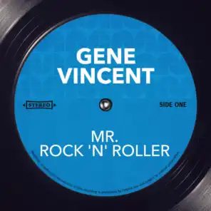 Mr. Rock 'N' Roller